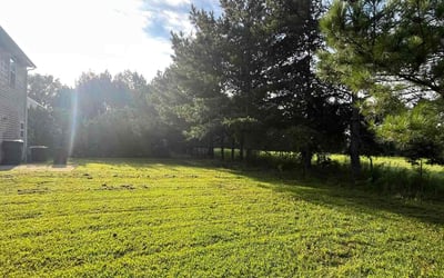 Photo of Jerry G.'s yard after getting lawn care in Salisbury, NC