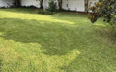Photo of Heather S.'s yard after getting lawn care in Suffolk, VA