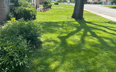 Photo of "Jason B.'s yard after getting lawn care in Park Forest, IL