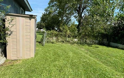 Photo of lisa p.'s yard after getting lawn care in Baytown, TX