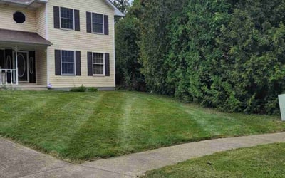 Photo of Chrissy P.'s yard after getting lawn care in Medina, OH