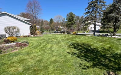 Photo of cindy l.'s yard after getting lawn care in Brunswick, NY