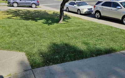Photo of Amber E.'s yard after getting lawn care in Post Falls, ID