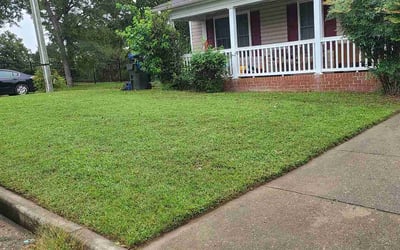 Photo of Jennell D.'s yard after getting lawn care in Richmond, VA