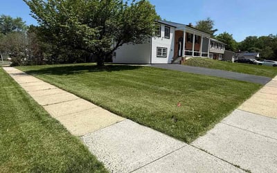 Photo of Kenya R.'s yard after getting lawn care in Willingboro, NJ