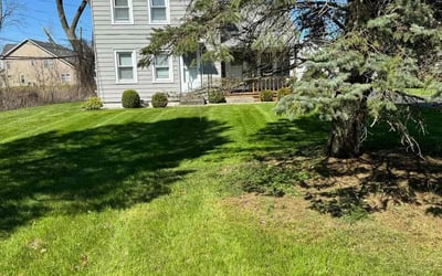 Photo of Yumekia m.'s yard after getting lawn care in Latham, NY