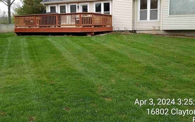 Photo of Tamika B.'s yard after getting lawn care in Memphis, TN