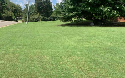 Photo of Craig M.'s yard after getting lawn care in Trussville, AL
