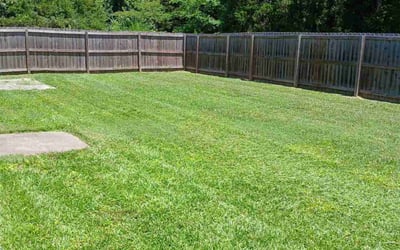 Photo of Katherine C.'s yard after getting lawn care in Newport, RI