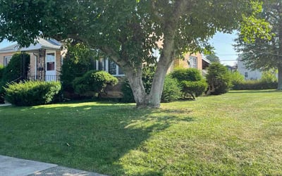 Photo of David R.'s yard after getting lawn care in Albrightsville, PA