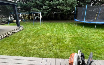 Photo of Miguel A.'s yard after getting lawn care in Newberg, OR