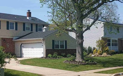 Photo of Brandon A.'s yard after getting lawn care in Pine Hill, NJ