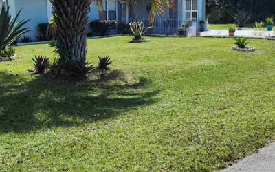 Photo of Jeremiah O.'s yard after getting lawn care in Ocala, FL
