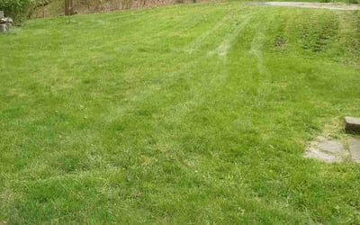 Photo of Joshua W.'s yard after getting lawn care in Monaca, PA