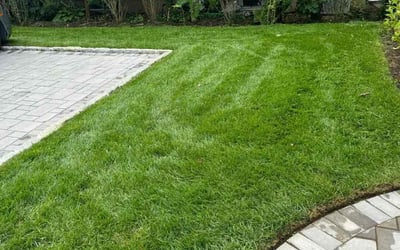Photo of Moya R.'s yard after getting lawn care in Maplewood, NJ
