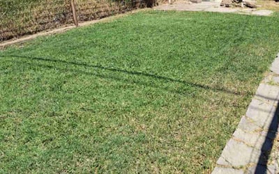 Photo of Sydney B.'s yard after getting lawn care in Ridgecrest, CA
