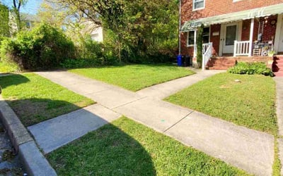 Photo of Asia A.'s yard after getting lawn care in Parkville, MD
