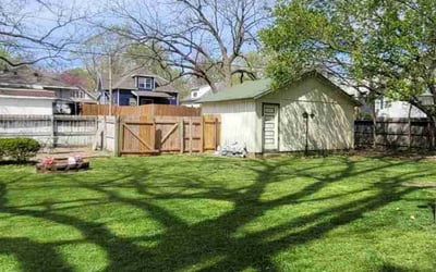Photo of Nyesha S.'s yard after getting lawn care in Marshfield, MO