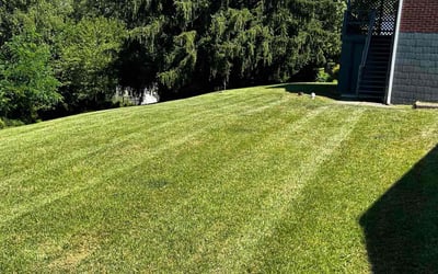 Photo of William i.'s yard after getting lawn care in New Kensington, PA