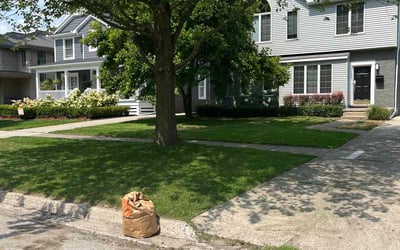 Photo of Etienne B.'s yard after getting lawn care in Birmingham, MI