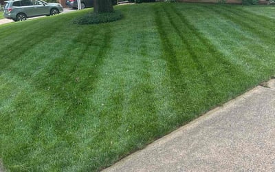 Photo of Kathleen B.'s yard after getting lawn care in Fulton, NY