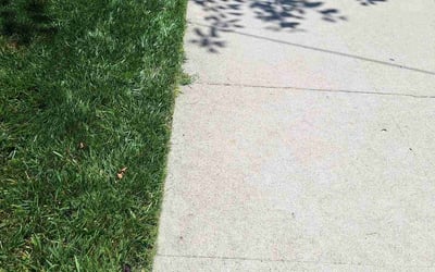 Photo of John A.'s yard after getting lawn care in Wolcott, CT