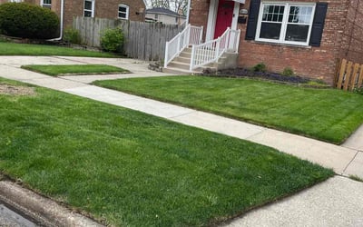 Photo of Jackie P.'s yard after getting lawn care in Evergreen Park, IL