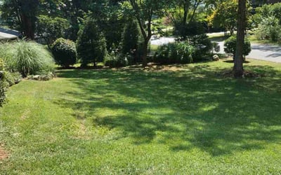 Photo of Carrol T.'s yard after getting lawn care in Tucker, GA
