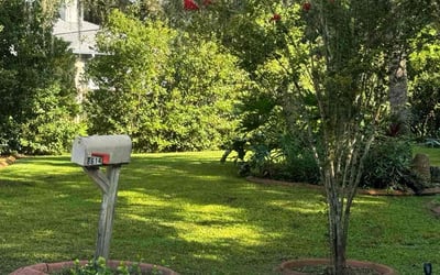 Photo of Thomas B.'s yard after getting lawn care in Hickory, NC