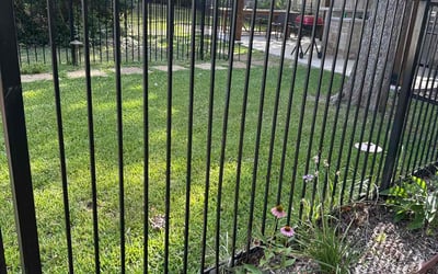 Photo of Andrew R.'s yard after getting lawn care in Acton, MA
