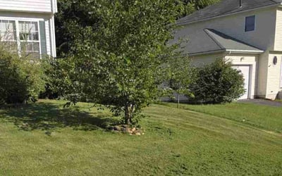 Photo of Yong Z.'s yard after getting lawn care in Holyoke, MA