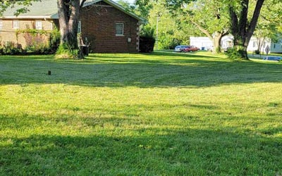 Photo of Daphanie W.'s yard after getting lawn care in Glen Carbon, IL