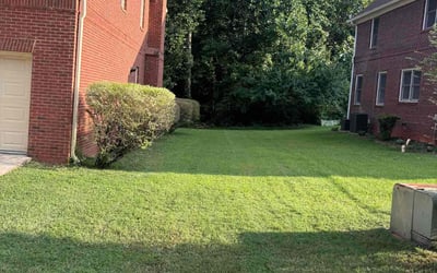 Photo of Carol V.'s yard after getting lawn care in Stone Mountain, GA