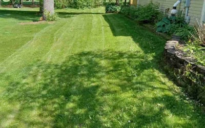 Photo of Shawn M.'s yard after getting lawn care in Ypsilanti, MI