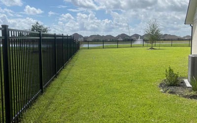 Photo of Nicholas W.'s yard after getting lawn care in Vidor, TX