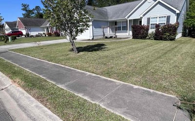 Photo of Tiffini B.'s yard after getting lawn care in Conway, SC