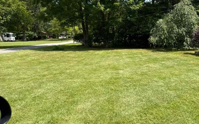 Photo of Ramamani A.'s yard after getting lawn care in Warren, OH