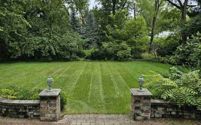 Photo of Yahinus J.'s yard after getting lawn care in Hinsdale, IL