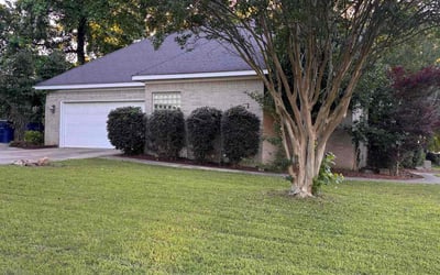 Photo of Faye H.'s yard after getting lawn care in Kirkland, WA