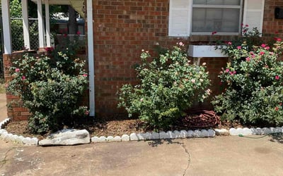 Photo of Mark C.'s yard after getting lawn care in Garfield, NJ