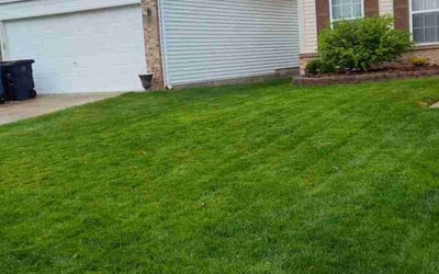 Photo of Kirsten R.'s yard after getting lawn care in Ann Arbor, MI
