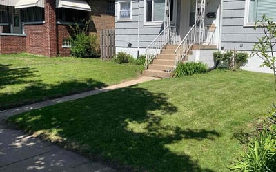 Photo of Myrna G.'s yard after getting lawn care in Manchester, CT