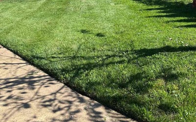 Photo of Lori M.'s yard after getting lawn care in Fort Hunt, VA