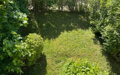 Photo of Sierra F.'s yard after getting lawn care in Latham, NY
