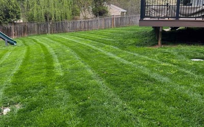 Photo of William W.'s yard after getting lawn care in Herndon, VA