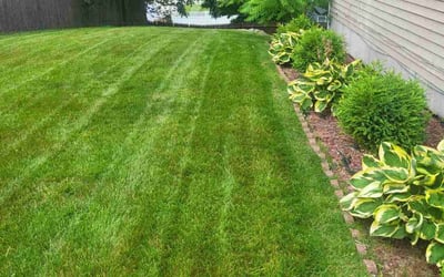 Photo of Rachel B.'s yard after getting lawn care in Lincoln, RI
