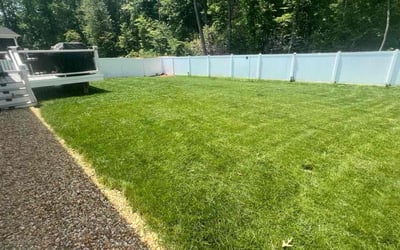 Photo of Jacqueline G.'s yard after getting lawn care in Stafford, VA