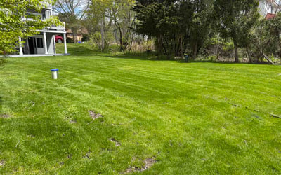 Photo of Brian B.'s yard after getting lawn care in Rochester Hills, MI