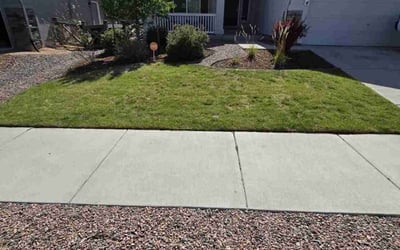 Photo of Claudine H.'s yard after getting lawn care in Woodland Park, CO