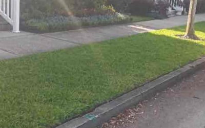 Photo of Tom F.'s yard after getting lawn care in Kenosha, WI